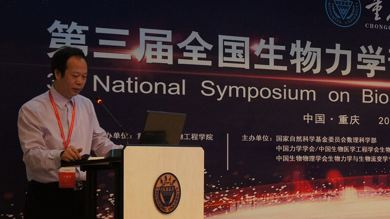 1525680610229799.jpg 调整后.jpg
